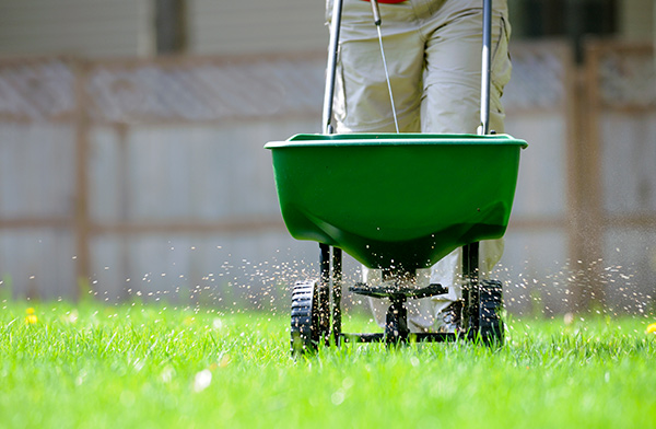 Lawn Response will treat your lawn and make it beautiful
