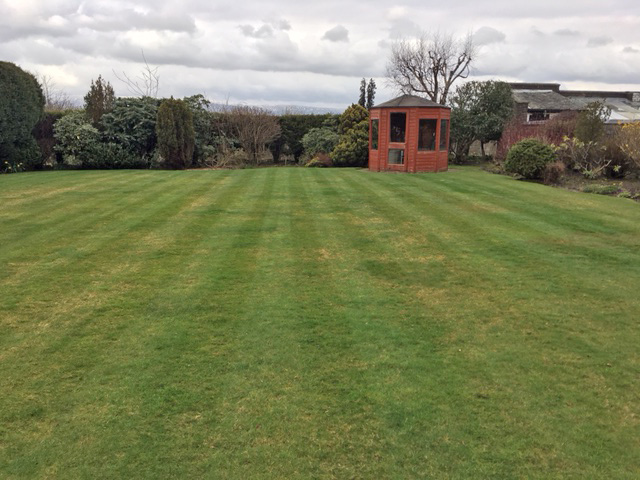 LawnResponse Lawn