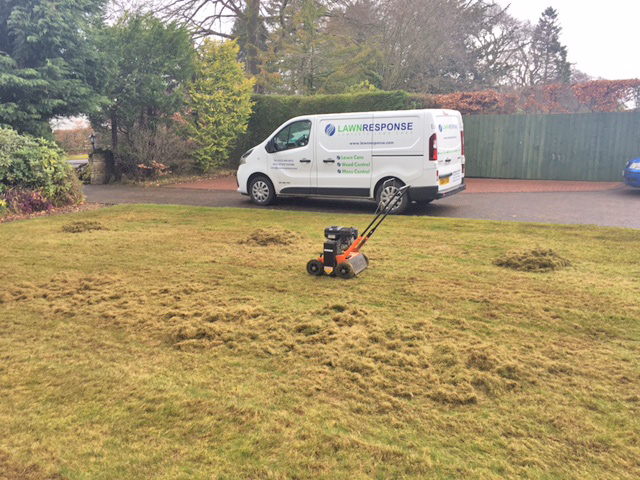 Lawn Response Scarifying